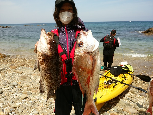 鯛にハタに 鯛にハタに