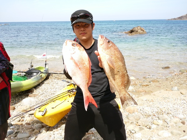 鯛にハタに 鯛にハタに