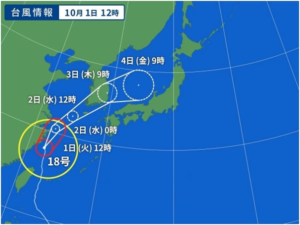 ワカメとお洒落とイルカ♪♪ ワカメとお洒落とイルカ♪♪