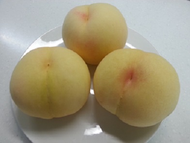 岡山の桃尻?