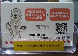幕の内「天草社」・緊急柴犬♀