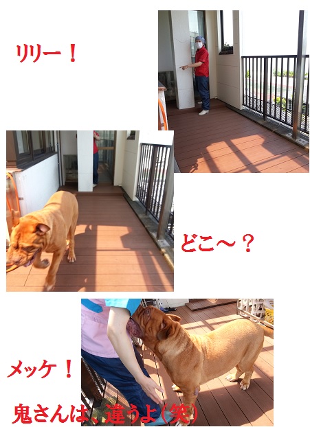 見~つけた?ワンコシャンプー