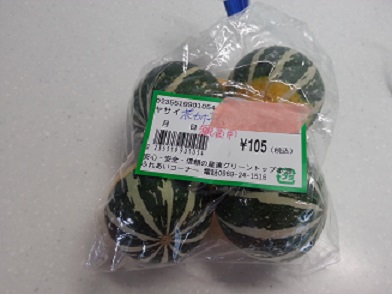 花かぼちゃ¥105 8/20今日が期限の子犬無事譲渡・子猫