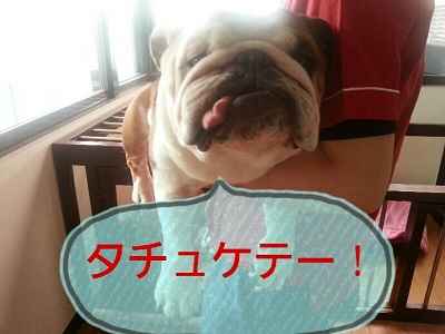見~つけた?ワンコシャンプー