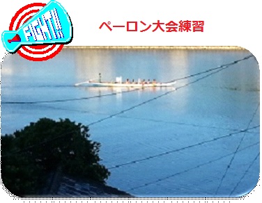 ペーロン大会の練習風景・豆柴女の子(天草保健所)