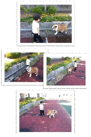 ボタン、我慢の散歩