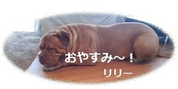 散歩に行けない、ボタン