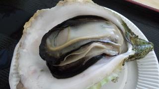 お昼は・・・