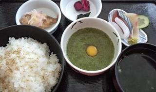 スタッフの・・・+今日のイルカ♪