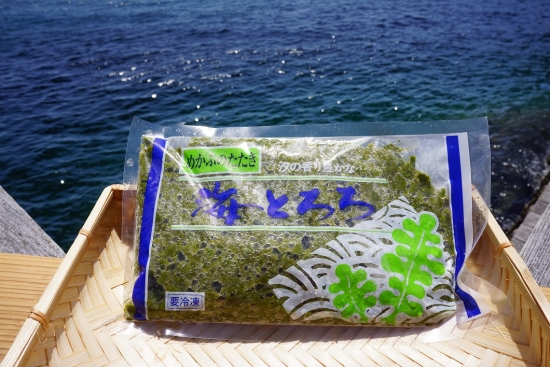 海藻セット 箱入（塩蔵わかめ＋海とろろ等多数のお得商品）