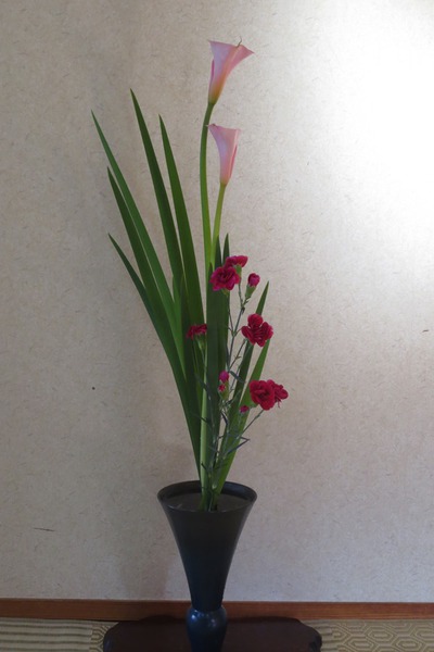 新生花「ピンクカラーとのびやかな長葉」