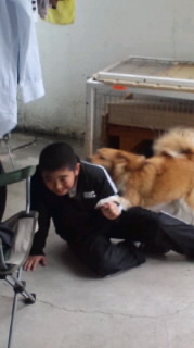 激闘!!