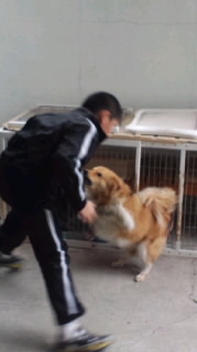 激闘!!