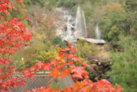 祝口観音の滝の紅葉