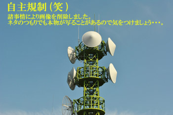 心臓の弱い人は見ないで・・・。