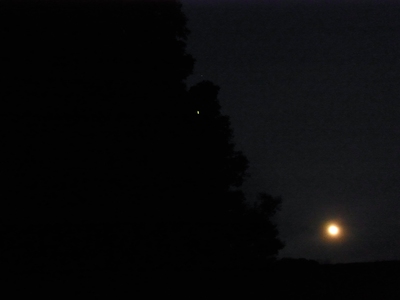 月と蛍。