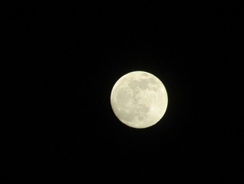 きれいなお月さんが真上に