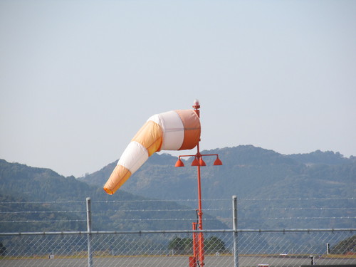 金網の向こう