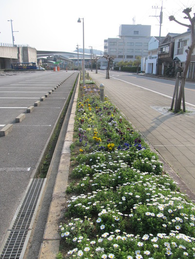 忘れられた花達