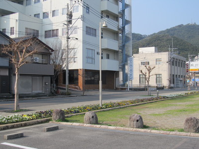 忘れられた花達