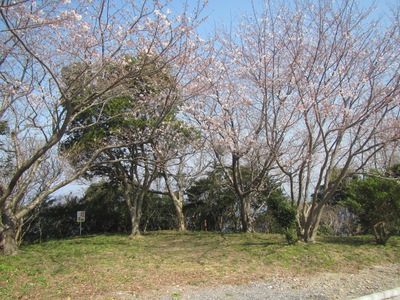 田植え＆花見