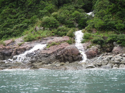 ネタ集め