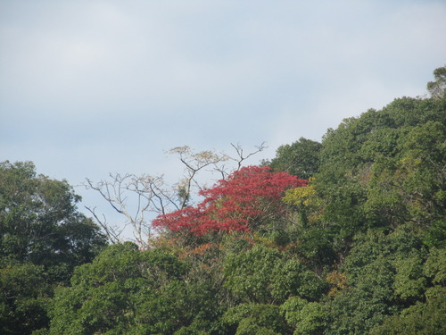今年こそは