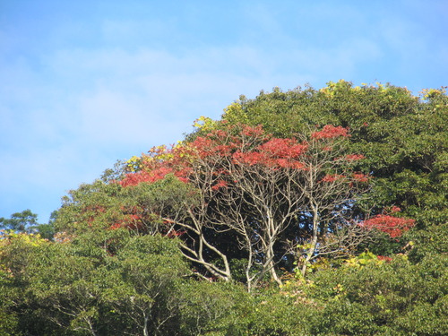 今年こそは