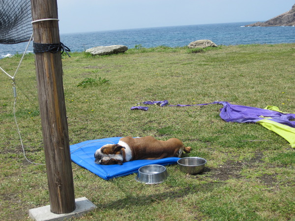 長らくお待たせしました