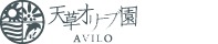 天草オリーブ園