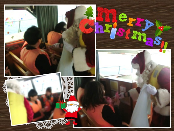 大盛況！クリスマスイルカクルージング！！