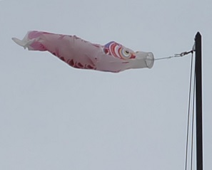 残念ながら・・・