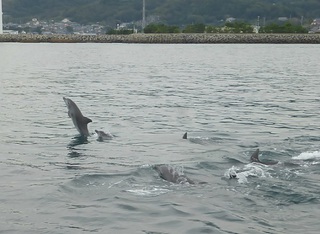 秋は・・・