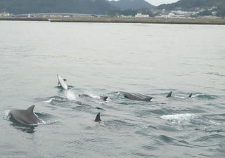 秋は・・・