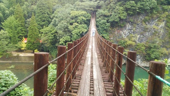 吊り橋!