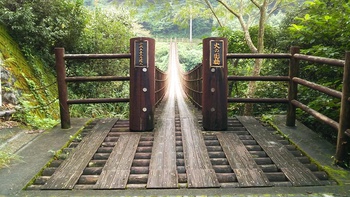 吊り橋!