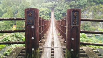 吊り橋!