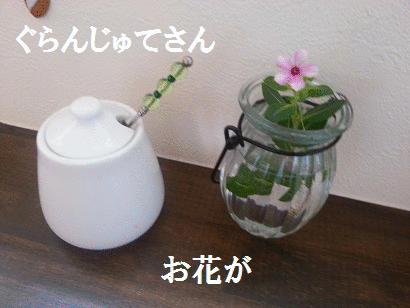お花が元気♡　8/27保護期限♀ワンちゃん達