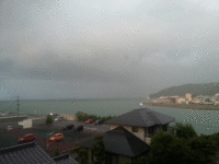 雨を期待♡今夜は餃子