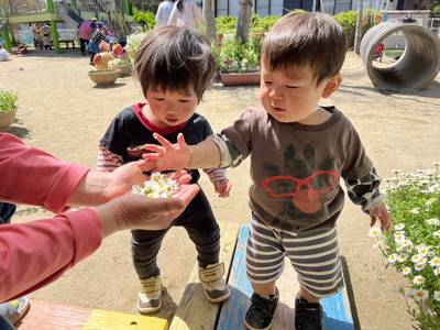 はいどうぞ