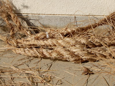 ７