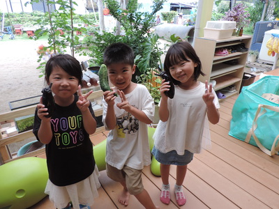 夏野菜