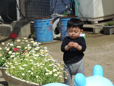 おはなさん遊びましょ