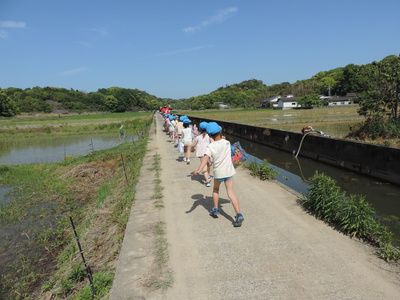 田んぼ道