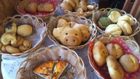 始めまして、松村です。