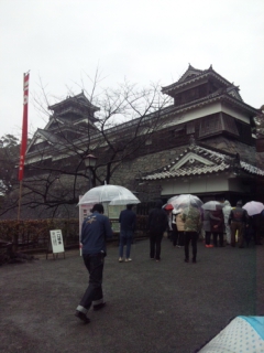 雨の熊本城
