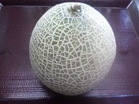 メロン
