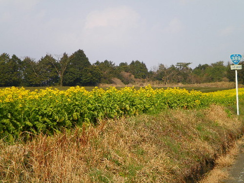 雲仙へ