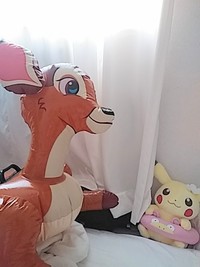  今日のコラボ 2020/09/07 09:43:01