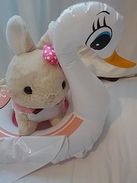 今日も仲良し 2021/01/31 10:39:07